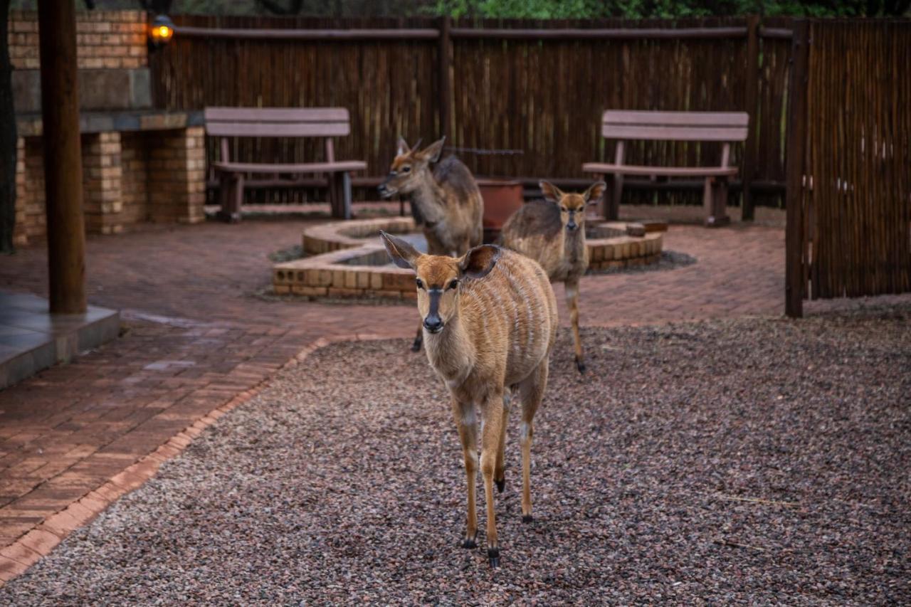 Sondela Nature Reserve&Spa Chalets Bela-Bela Bagian luar foto
